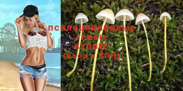 мескалин Семёнов