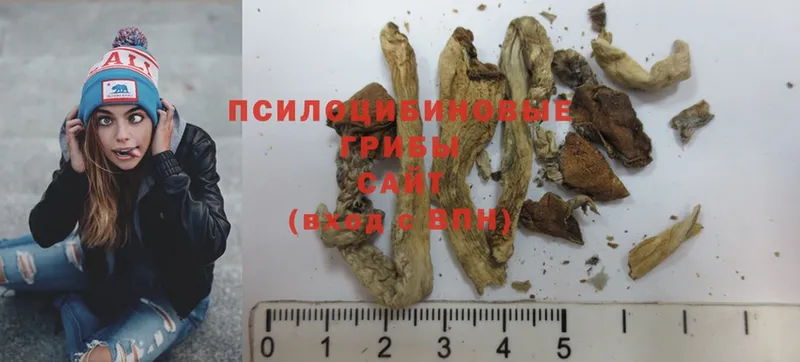 Псилоцибиновые грибы Magic Shrooms  Братск 