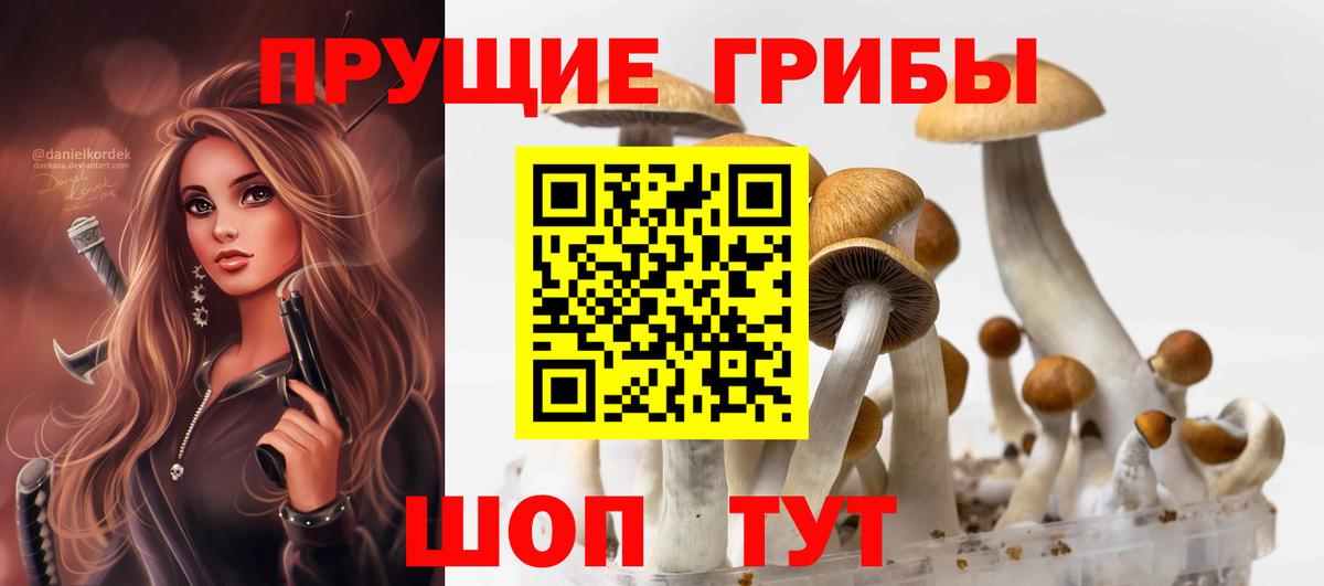 Галлюциногенные грибы мицелий  Галлюциногенные грибы Psilocybe  Братск 